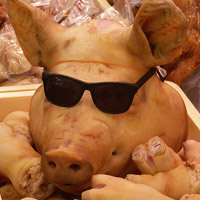 Truyện cười - “Xã hội đen” gặp... con lợn