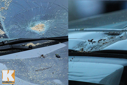 TP.HCM: Cây xanh bật gốc, đè bẹp ô tô - 11