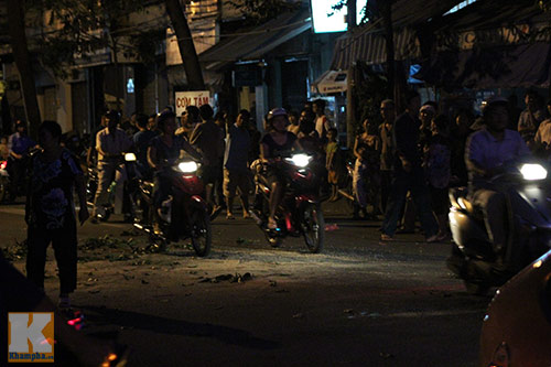 TP.HCM: Cây xanh bật gốc, đè bẹp ô tô - 12