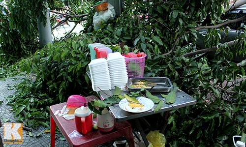 TP.HCM: Cây xanh bật gốc, đè bẹp ô tô - 8