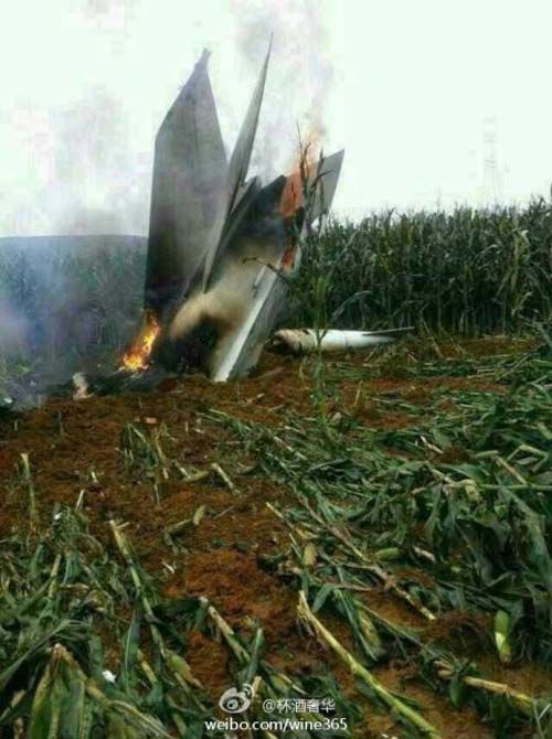 Chiến đấu cơ TQ tan xác trên ruộng ngô - 3