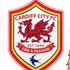 TRỰC TIẾP Cardiff - Man City: Chủ nhà mở hội (KT) - 1