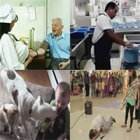 Video Clip Cười - Top clip hài: Cuồng hôn cậu chủ nhỏ