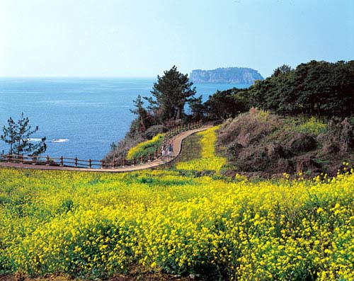 Hàn Quốc - truyền thống và hiện đại - 3