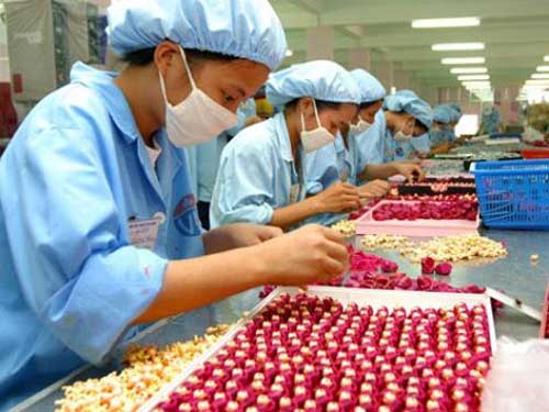 Chậm trả lương có thể bị phạt 50 triệu - 2