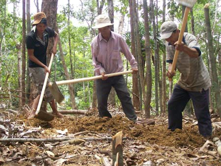 Phú Yên: Trục xuất 213 người tìm trầm bì - 1