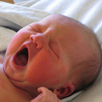 Tin tức trong ngày - New Zealand: Bé gái bị "bố hờ" hành hạ dã man