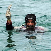 Tin tức trong ngày - Khoanh vùng bảo vệ cổ vật trên tàu đắm