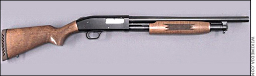 Cuộc thảm sát của giáo sư đại học (Kỳ 1) - 1