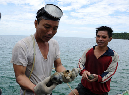 Mở tour lặn biển nơi tàu cổ đắm - 2