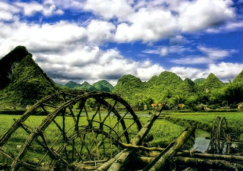 Cứ ở nhà và thương Việt Nam - 1