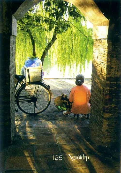 Cứ ở nhà và thương Việt Nam - 3