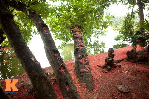 Hà Nội, Sài Gòn yên bình sáng Quốc khánh - 5