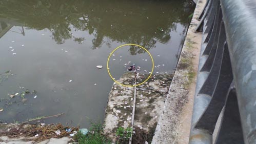 Phát hiện thi thể phụ nữ nổi trên sông - 2