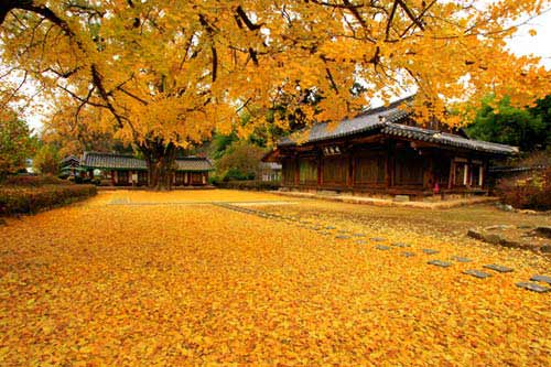 Cuốn từ điển mang tên Hàn Quốc - 2