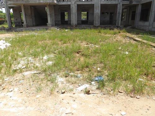 Hà Nội: Xây trường tiền tỉ, để mọc rêu xanh - 2