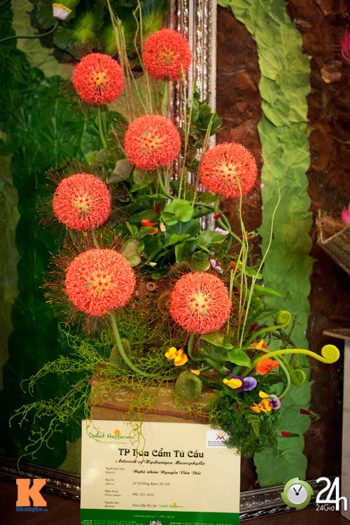 Ấn tượng chiếc áo dài kỷ lục Việt Nam - 16