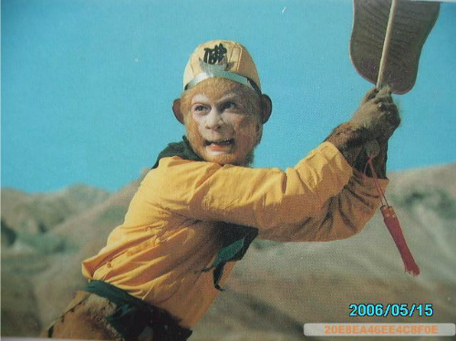 Lửa cháy rừng rực Hỏa Diệm Sơn - 4