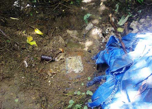 Chỉ đạo làm rõ vụ chôn thuốc BV thực vật - 2