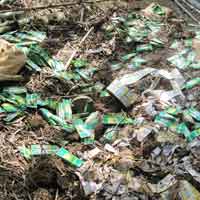 Tin tức trong ngày - Chỉ đạo làm rõ vụ chôn thuốc BV thực vật