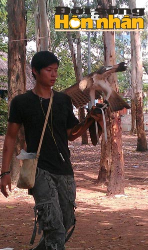 Ly kỳ chuyện săn lùng "vương điểu" - 1