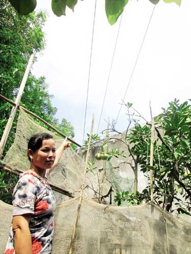 “Thôn điện giật” và tiếng kêu cứu 20 năm - 2