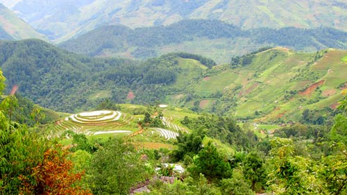 Lên đỉnh Tà Xùa: Cảm giác nên thử một lần - 3
