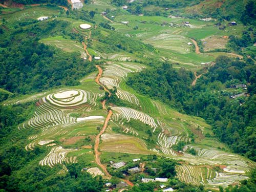 Lên đỉnh Tà Xùa: Cảm giác nên thử một lần - 4