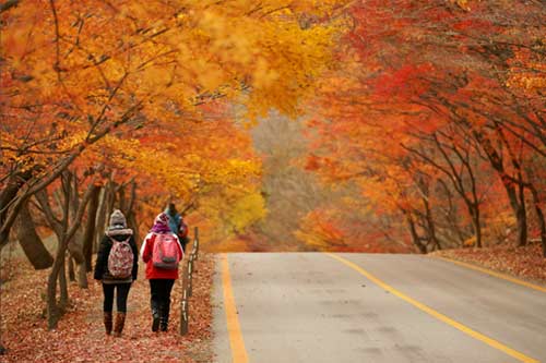Hàn Quốc: Giấc mơ tình yêu - 2