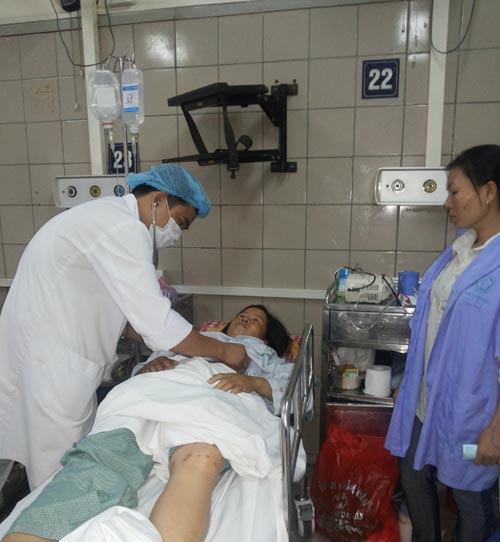 Ong vò vẽ tấn công, một phụ nữ nguy kịch - 1