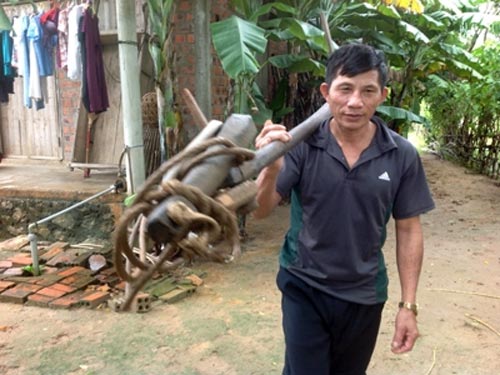 Gặp phu trầm bị bắt đòi tiền chuộc ở Malaysia - 1