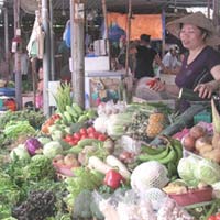 Thị trường - Tiêu dùng - Thời tiết bất lợi, giá thực phẩm khó giảm