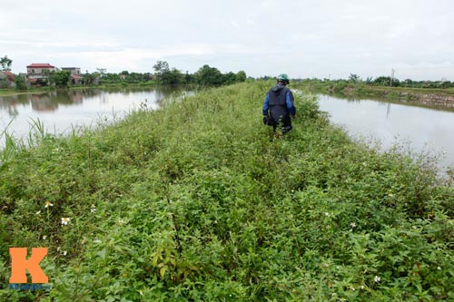 Theo chân "thợ săn" đi bẫy rắn độc - 1