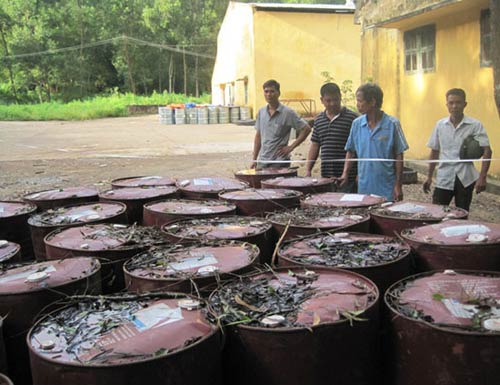 Chon thuoc sau o Thanh Hoa  chon thuoc bao ve thuc vat  chon thuoc sau  ung thu  dan chan xe cho hoa chat doc hai  dan vay hien truong doanh nghiep chon thuoc tru sau  doanh nghiep chon thuoc tru sau  hoa chat doc hai  dan dung leu chan xe  chan xe tai cho hoa chat doc hai  cong an  bao cong an   bao cong an  bao an ninh  an ninh  tin an ninh  phap luat  tin phap luat  bao phap luat  tin nhanh  tin moi  tin hay  tin nong  tin hot  tin tức  tin tuc  tintuc   tin tuc online  bao dien tu  bao vn  xa hoi  doc bao  bao  vn