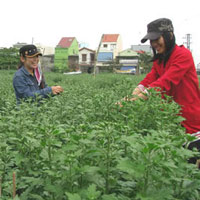 Giáo dục - du học - Sinh viên vào mùa làm thêm