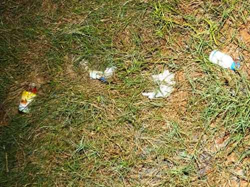 Thông tin mới nhất vụ chôn thuốc bảo vệ TV - 3