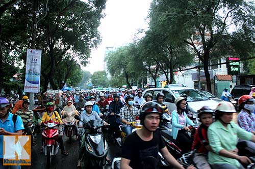 TPHCM: Cây lớn đổ, đè bẹp xe đang chạy - 5