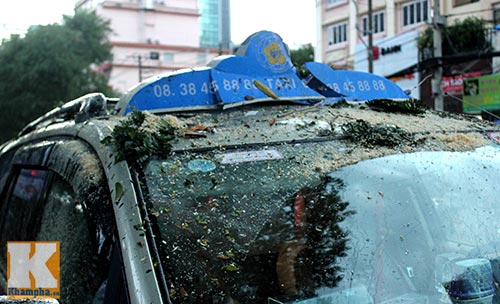 TPHCM: Cây lớn đổ, đè bẹp xe đang chạy - 7