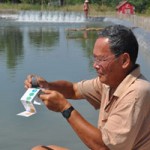 Thị trường - Tiêu dùng - TQ tận thu tôm nguyên liệu, DN Việt lao đao