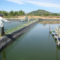 Thị trường - Tiêu dùng - Thoát án bán phá giá: "Vua tôm" chưa cười!