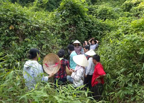 Vụ chôn thuốc bảo vệ TV: Dấu hiệu bất thường - 2