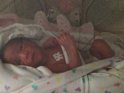 Sinh 5 con chỉ trong 5 phút - 2