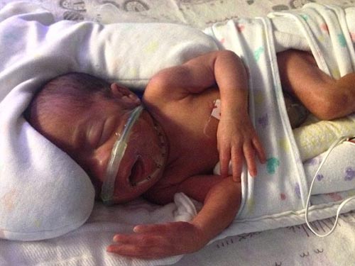 Sinh 5 con chỉ trong 5 phút - 4