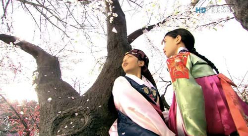 Những cảnh hoa tuyệt đẹp trên phim Hàn - 9