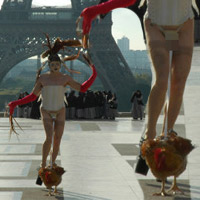 Phi thường - kỳ quặc - Buộc gà vào “của quý” để biểu diễn