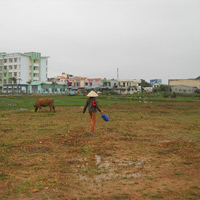 Tin tức trong ngày - Khởi tố 3 cán bộ đền bù khống hơn 6,3 tỷ đồng