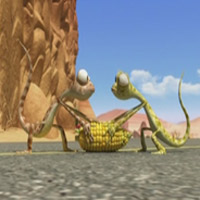 Video Clip Cười - Phim hoạt hình Oscar: Corn to be Wild