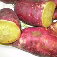 Sức khỏe đời sống - Khoai lang cực tốt cho sức khỏe