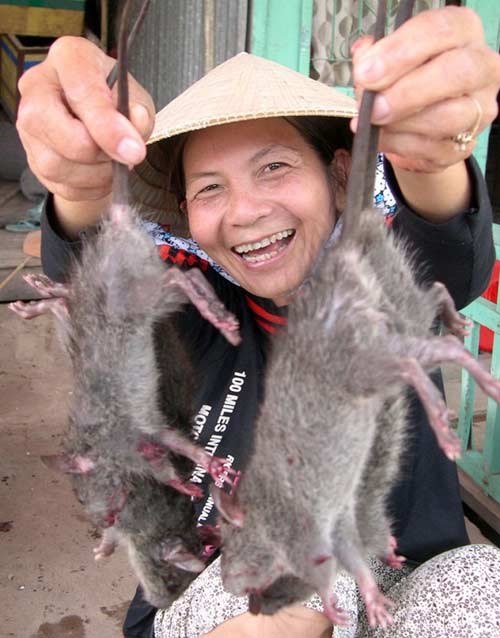Những phụ nữ kiếm tiền "lì" nhất miền Tây - 2
