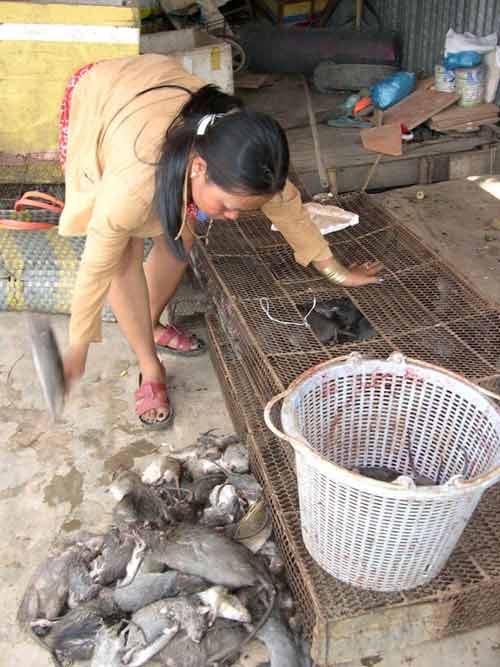 Những phụ nữ kiếm tiền "lì" nhất miền Tây - 3